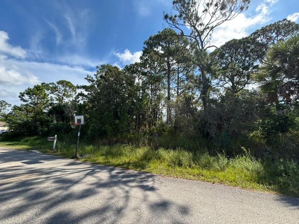 473 Wayland Road Southwest Palm Bay, FL 32908 - Photo 4 of 6 Gallery Image 4