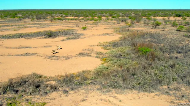 $1,836,000 | Tbd County Road 124, Pecos, TX 79772