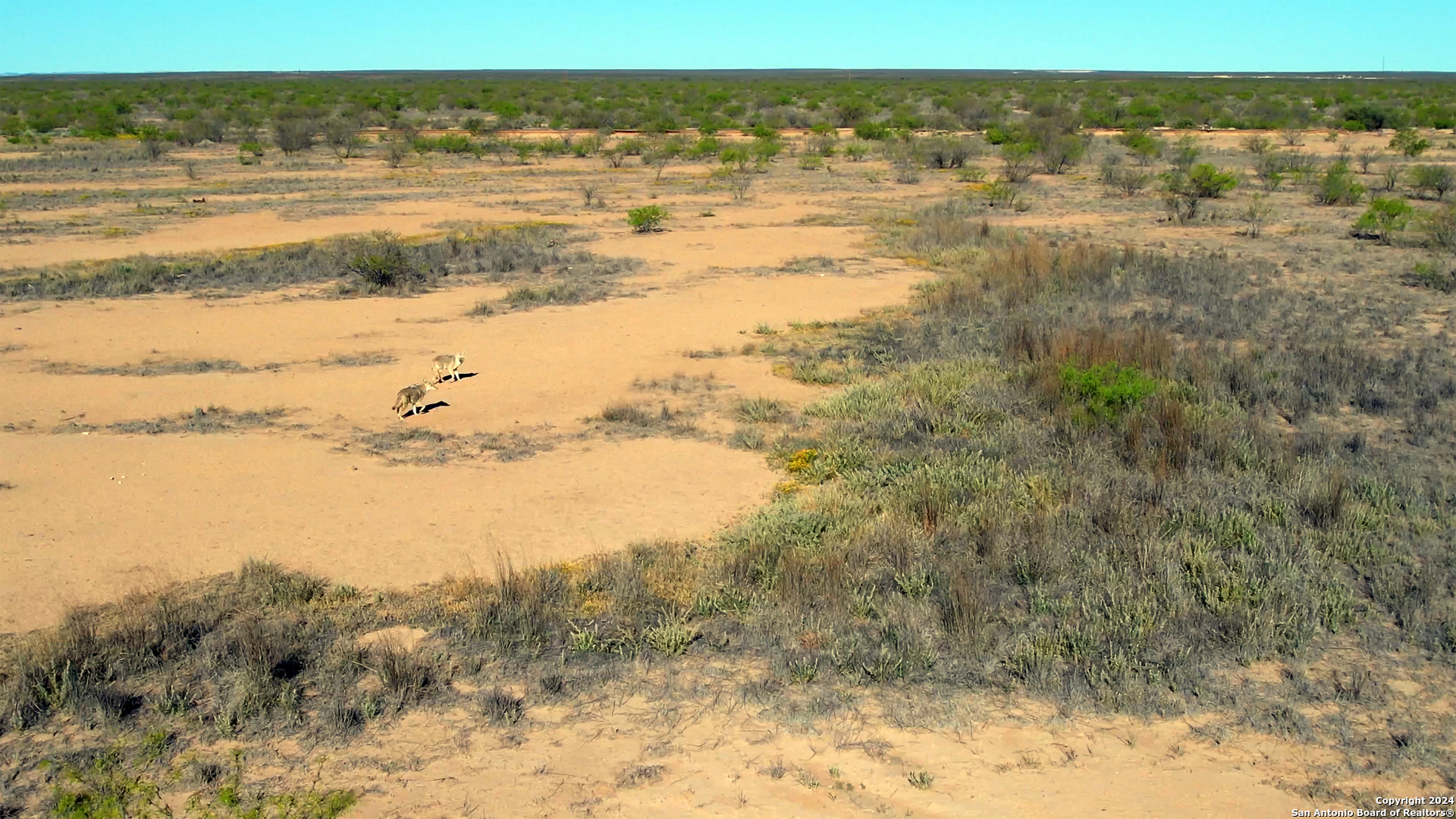 Tbd County Road 124 Pecos, TX 79772 - Photo 4 of 5