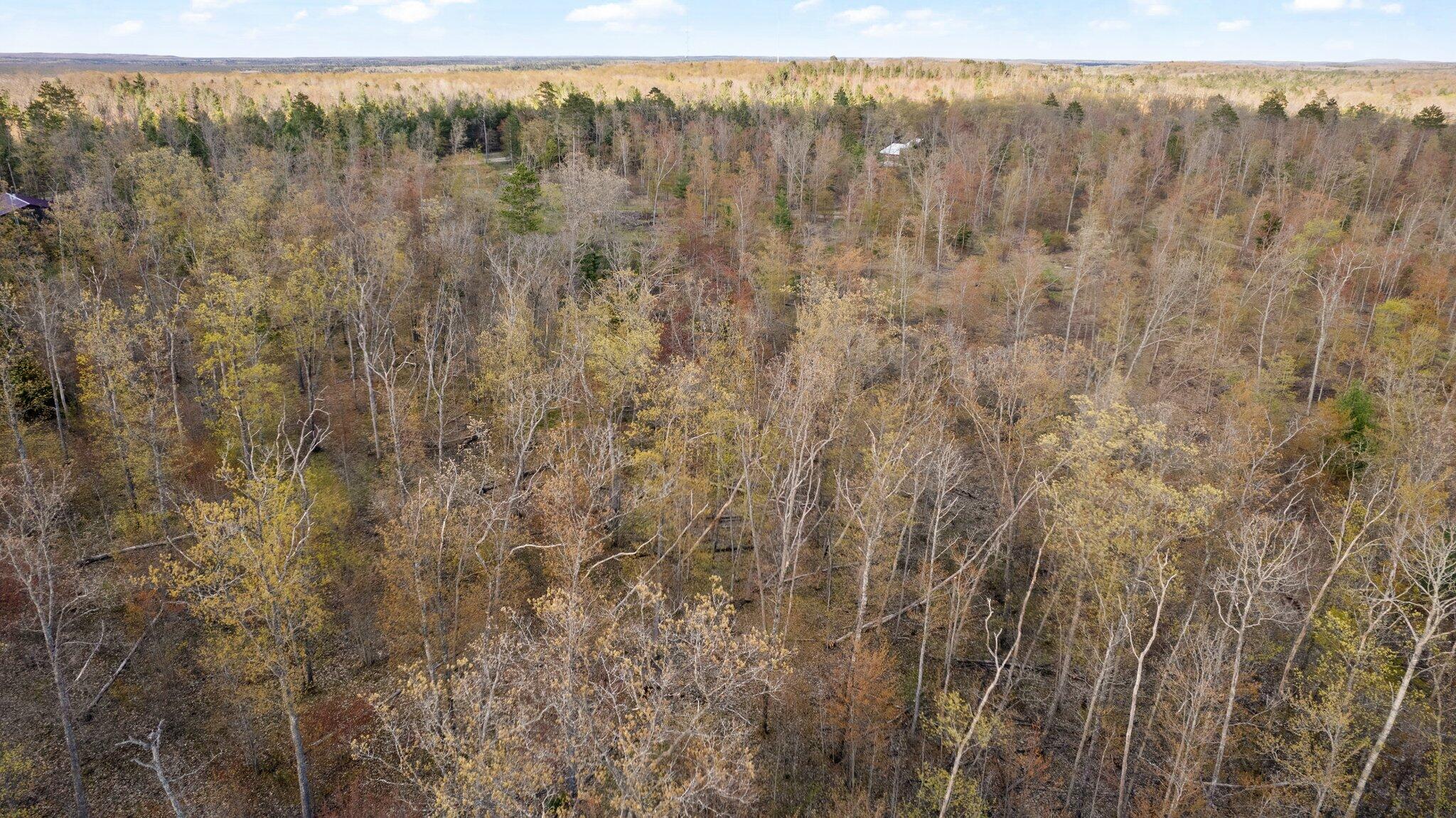 10-acres West Miller Road Lewiston, MI 49756 - Photo 7 of 43 Gallery Image 7