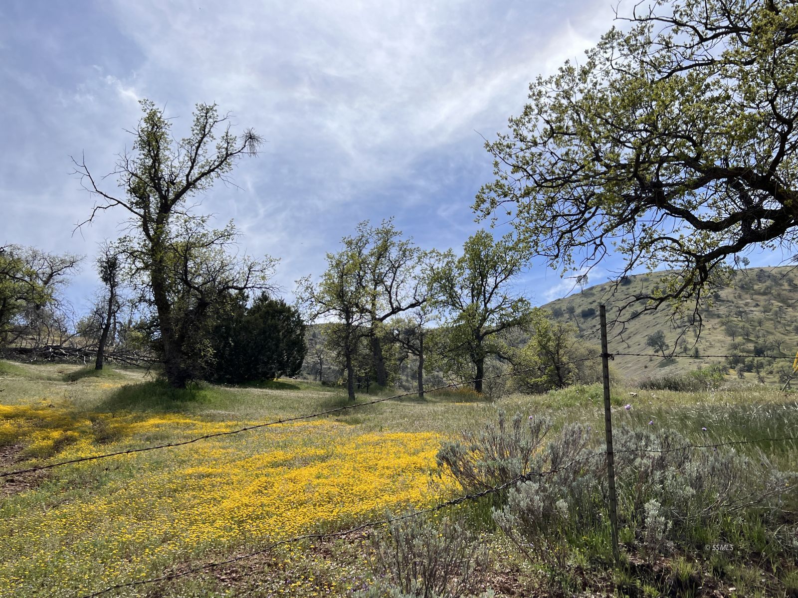 Hughes Rd Lake Bodfish, CA 93205 - Photo 12 of 19 Gallery Image 12