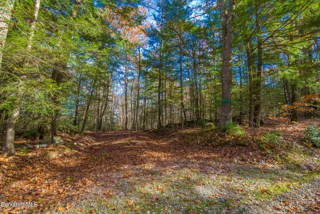 $95,000 | 314 Lakeshore Drive, Sandisfield, MA 01255