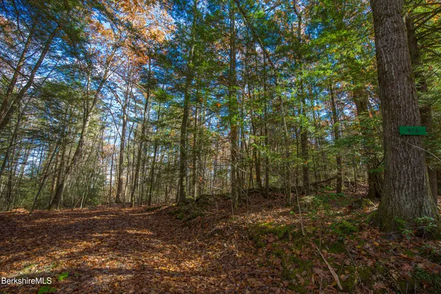 $95,000 | 314 Lakeshore Drive, Sandisfield, MA 01255