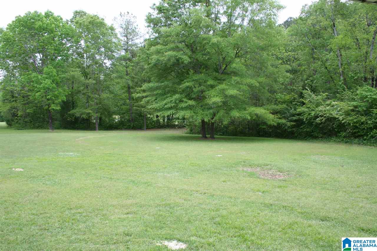 7340 Highway 144 Ragland, AL 35131 - Photo 33 of 40