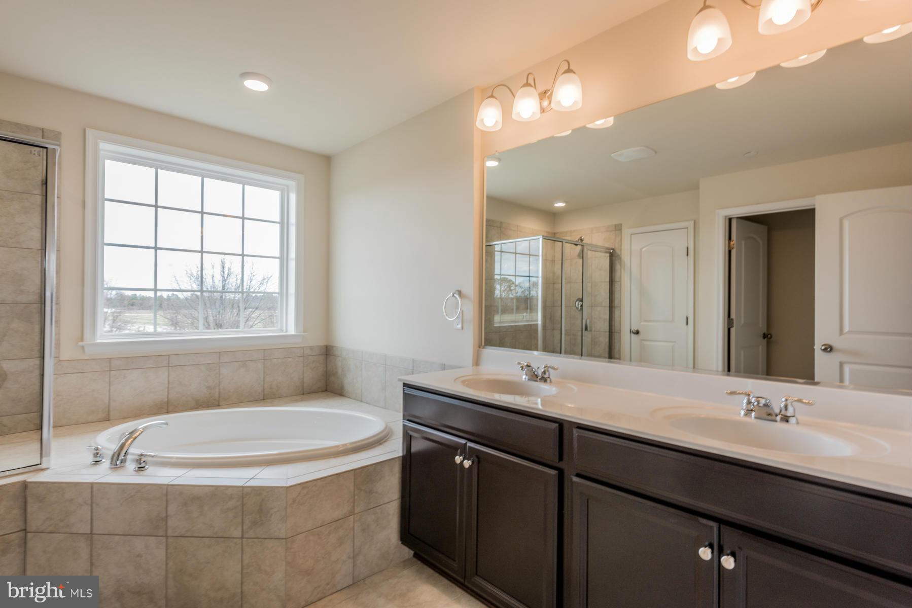 8145 Ridgely Loop Severn, MD 21144 - Photo 21 of 28 Bath (Master)