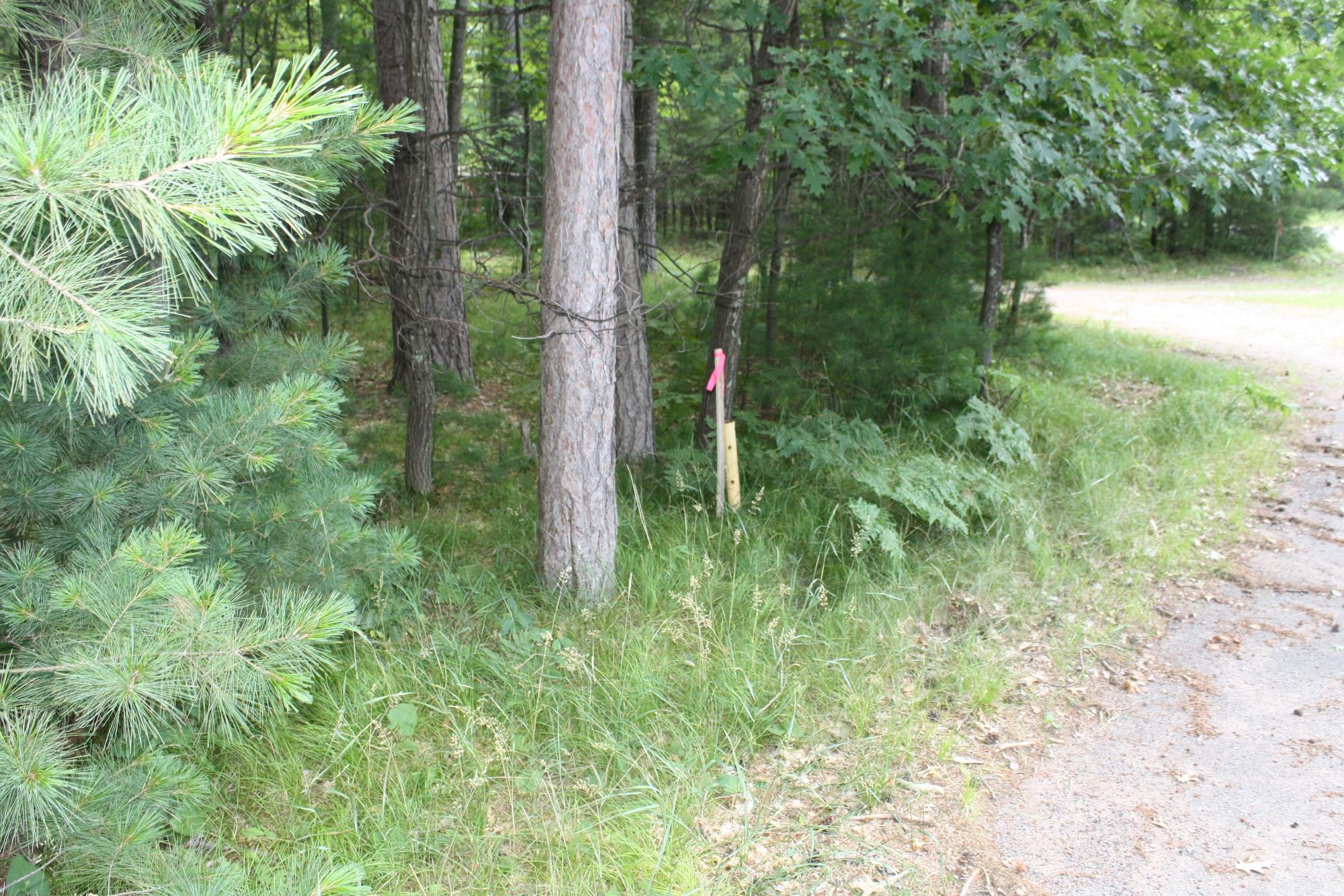 9421 Country Club Road, Unit MI3841 Minocqua, WI 54548 - Photo 3 of 9 Gallery Image 3