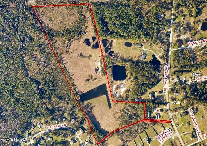 Tbd McCausley Road Hubert, NC 28539 - Photo 2 of 22 000 McCausley 25 Acres