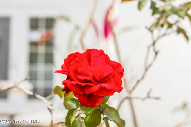 $395,000 | 1003 South Washington Avenue, Titusville, FL 32780