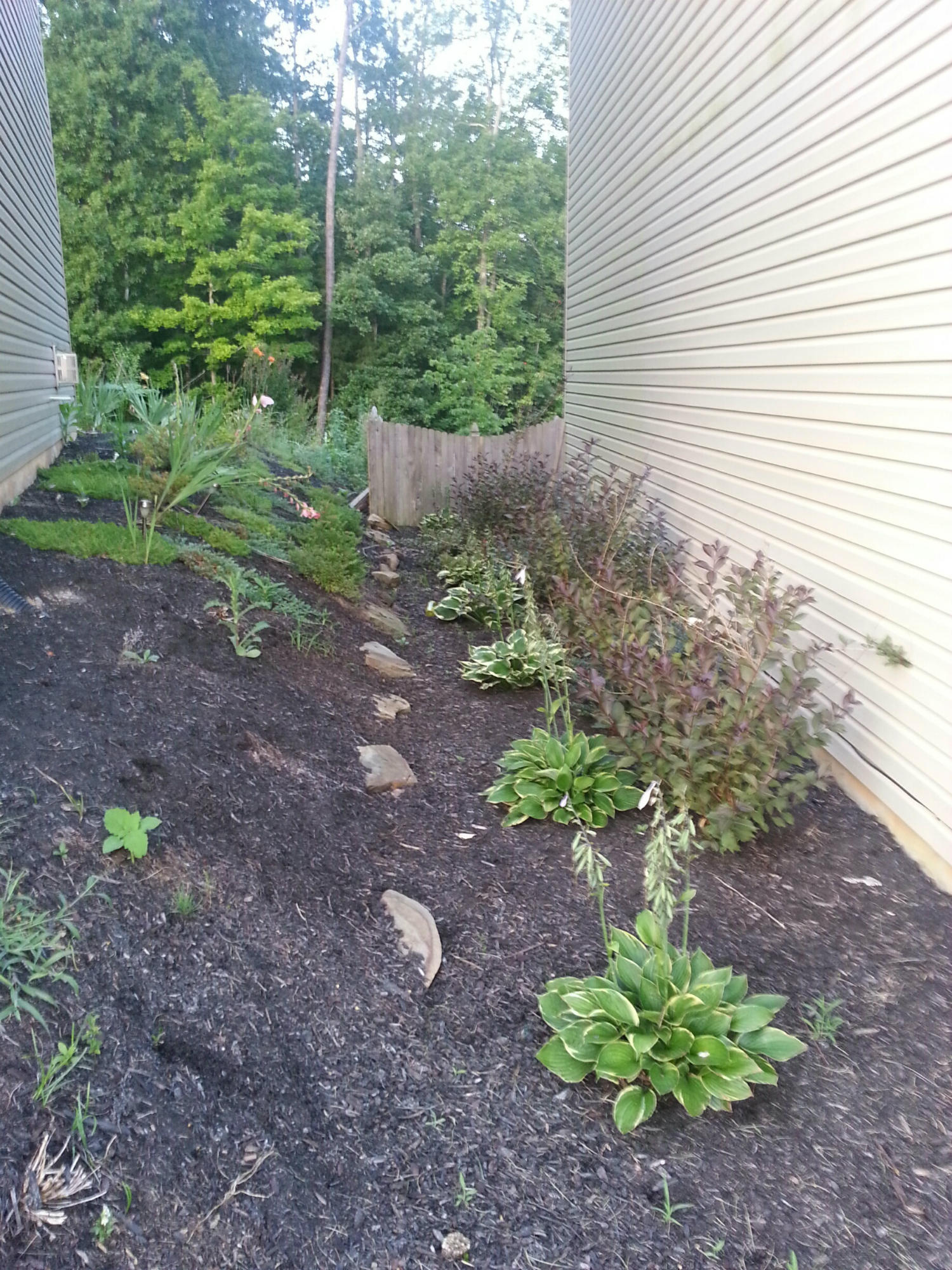 11618 Edison Road Knoxville, TN 37932 - Photo 31 of 32 Landscaping Between Houses