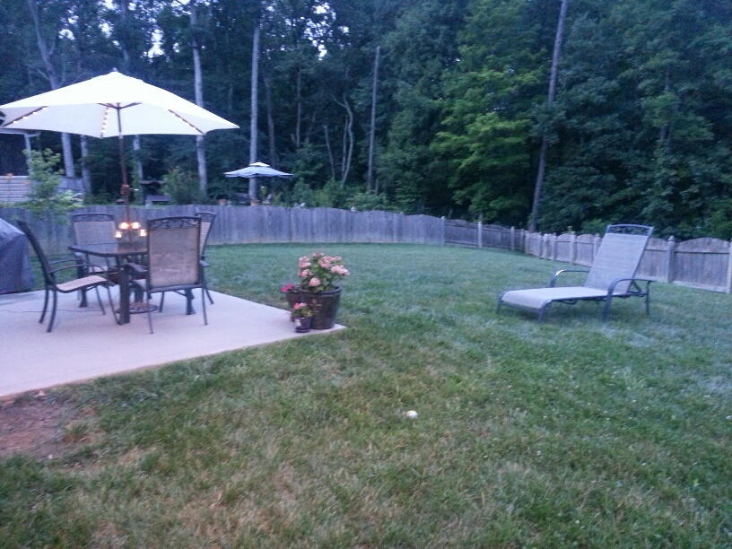 11618 Edison Road Knoxville, TN 37932 - Photo 5 of 32 Lg Fenced Lot