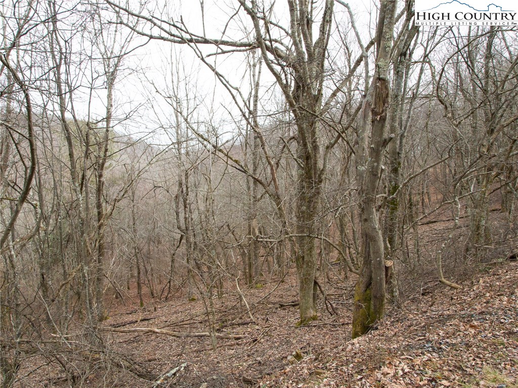Saddle Road Road Boone, NC 28607 - Photo 8 of 8 Gallery Image 8