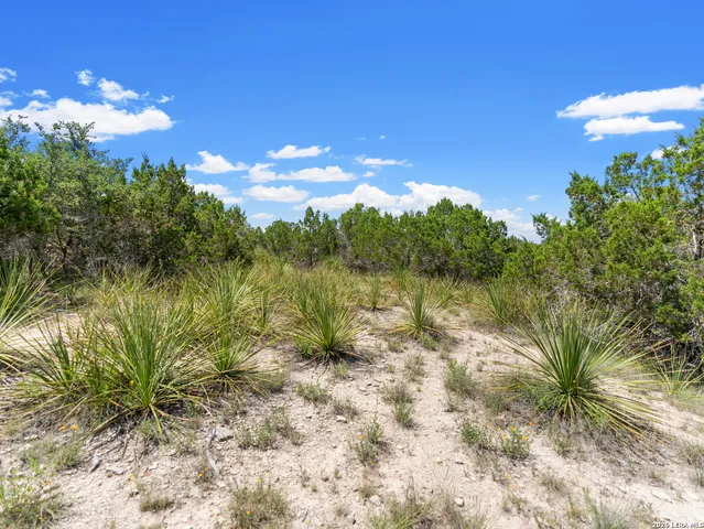 $225,000 | 242 Ridge Point, Spring Branch, TX 78070