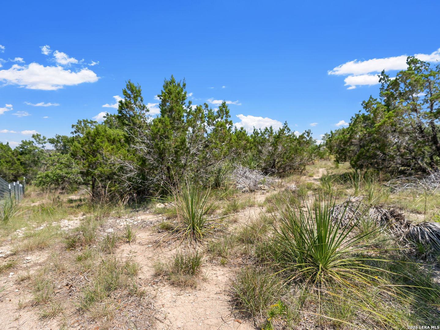 242 Ridge Spring Branch Spring Branch, TX 78070 - Photo 4 of 17