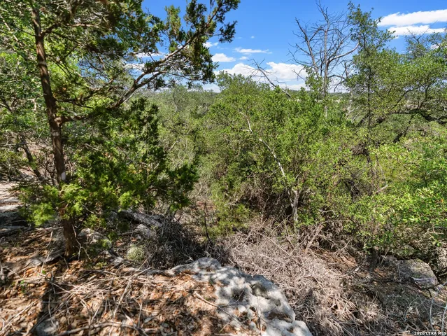 $225,000 | 242 Ridge Point, Spring Branch, TX 78070