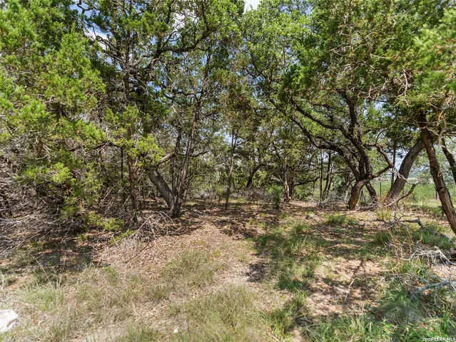 $225,000 | 242 Ridge Point, Spring Branch, TX 78070