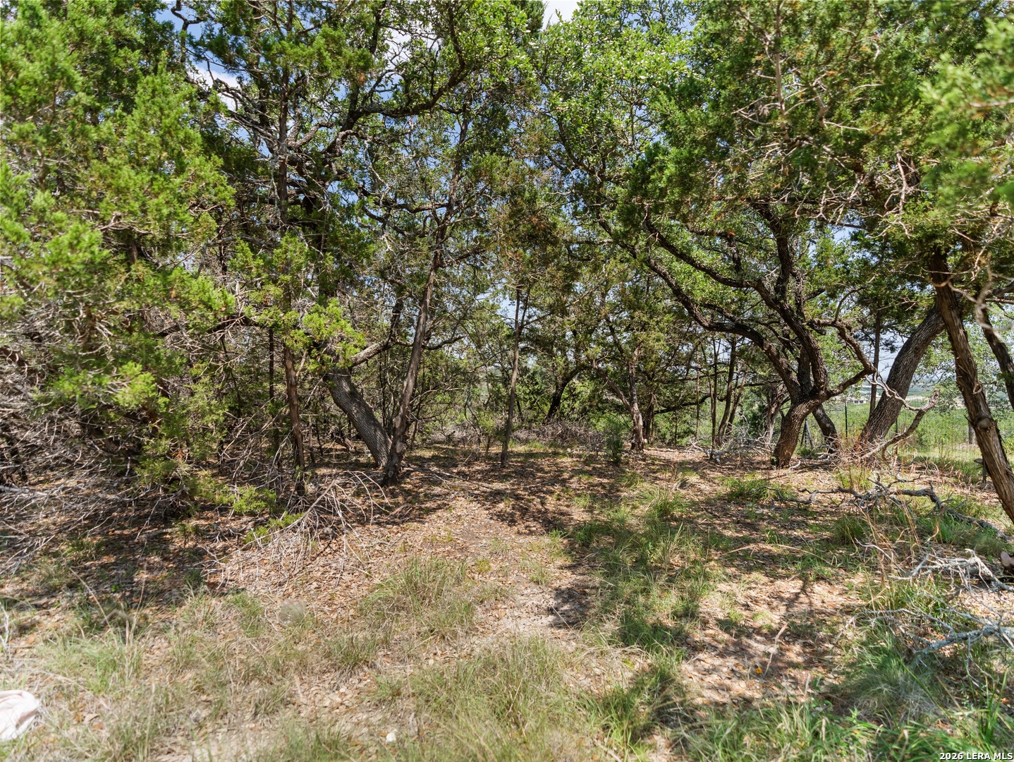 242 Ridge Spring Branch Spring Branch, TX 78070 - Photo 9 of 17
