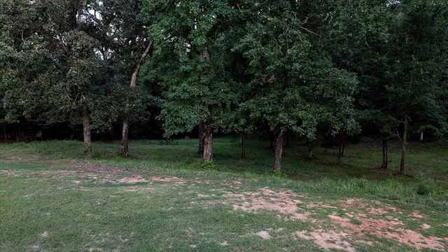 a backyard of a house with lots of green space