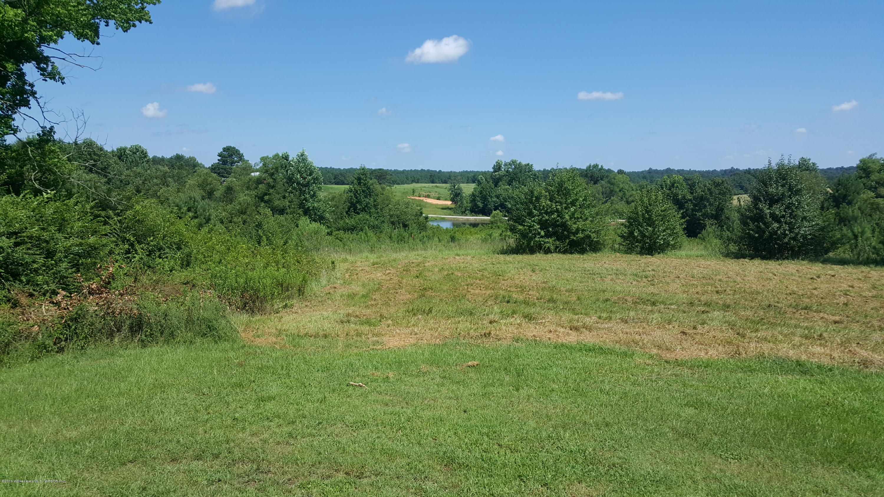 13435 Shiver De Freeze Road Berry, AL 35546 - Photo 35 of 42 Gallery Image 35