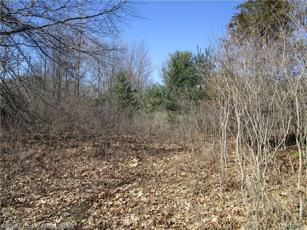 0 Gregory Road Lake Orion, MI 48359 - Photo 4 of 5
