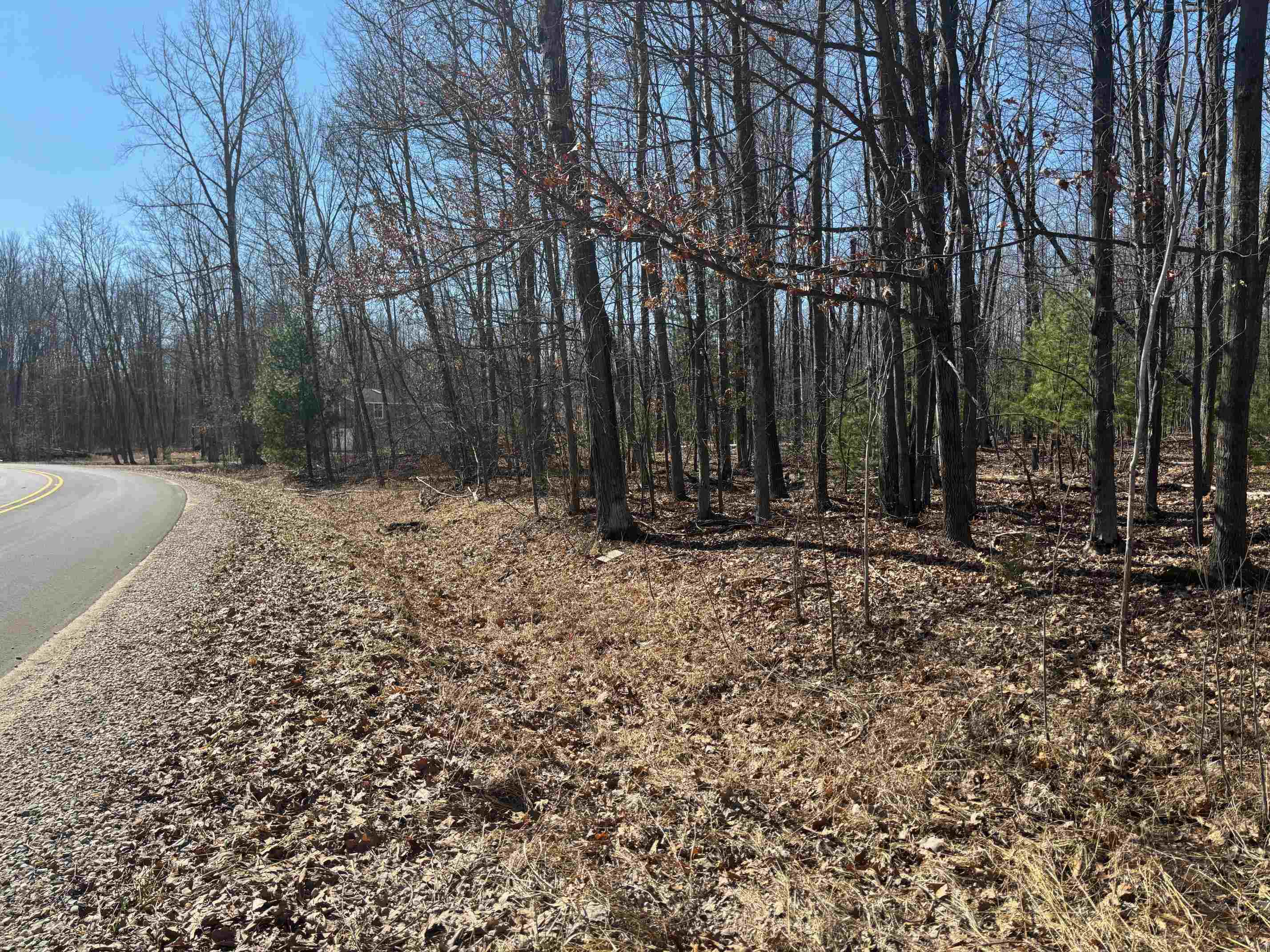 Pineway Drive Gladwin, MI 48624 - Photo 3 of 6