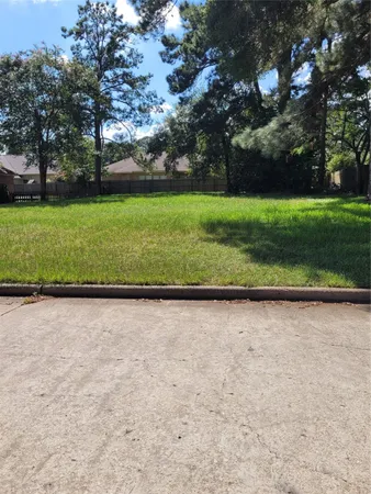 a view of a big yard with plants and large trees