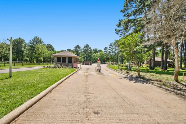 a view of a park with palm trees