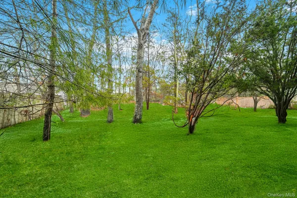 a view of yard with trees
