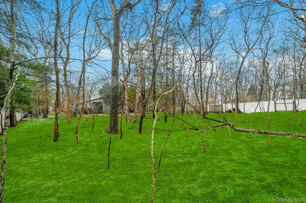 a view of grassy field with benches
