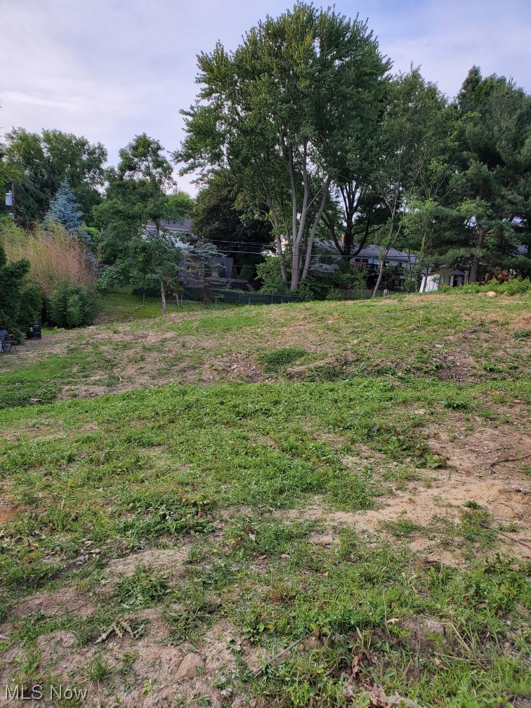 2595 Ridgewood Road Akron, OH 44313 - Photo 5 of 7 Vacant lot