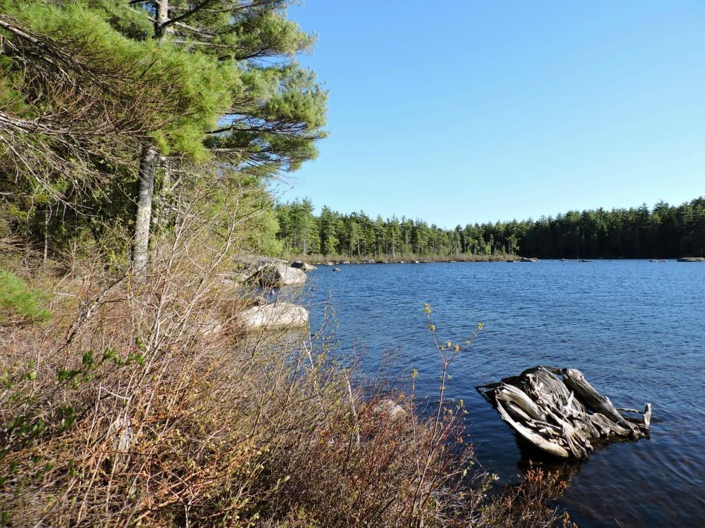 Lot #14 Short Point Way Orland, ME 04472 - Photo 4 of 17 Photo