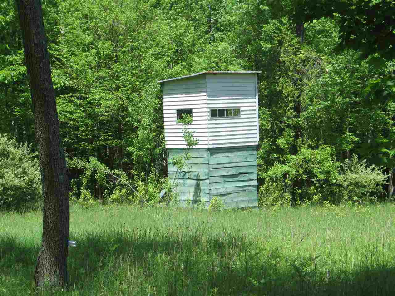 774 Laird Lake Road Hale, MI 48739 - Photo 9 of 31 1832178-8.JPG