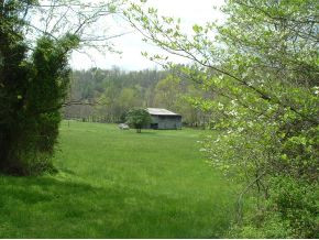 312 Painter Creek Road Chuckey, TN 37641 - Photo 17 of 24 View of barn from pasture