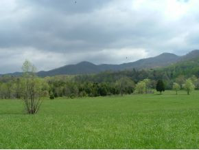 312 Painter Creek Road Chuckey, TN 37641 - Photo 18 of 24 Second pasture mountains