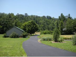 312 Painter Creek Road Chuckey, TN 37641 - Photo 2 of 24 View from front porch to creek
