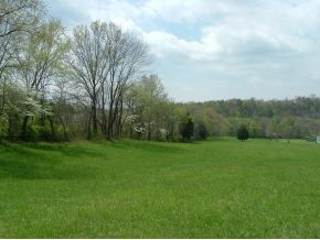 312 Painter Creek Road Chuckey, TN 37641 - Photo 21 of 24 Fence line showing trees