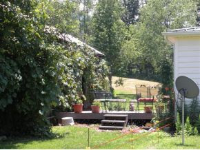 312 Painter Creek Road Chuckey, TN 37641 - Photo 6 of 24 Back deck with grape vines