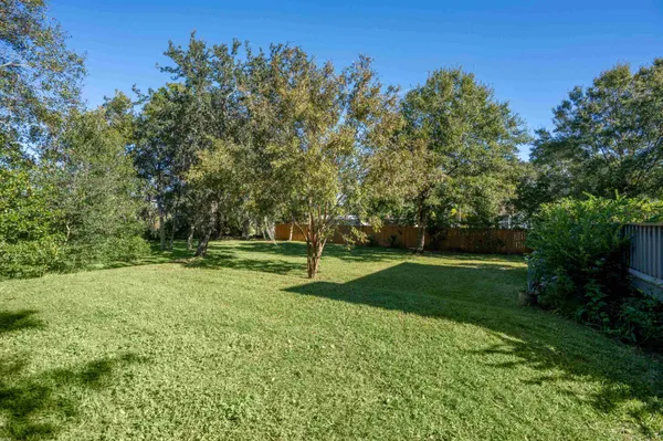 a view of a yard with a tree