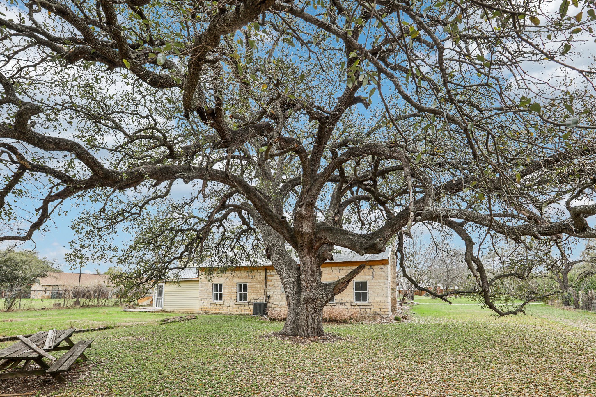 1801 Candee Street Georgetown, TX 78626 - Photo 3 of 14