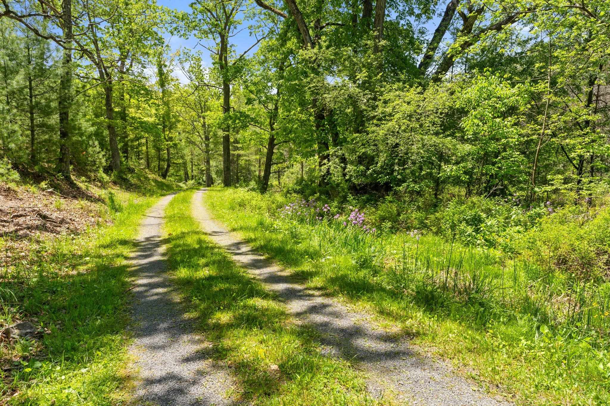 715 Davis Run Road McDowell, VA 24458 - Photo 11 of 65 Gallery Image 11