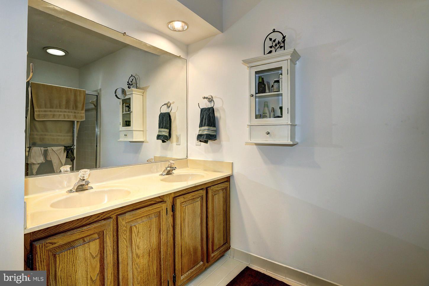 8003 Rocky Run Road Gainesville, VA 20155 - Photo 19 of 29 Bath (Master)