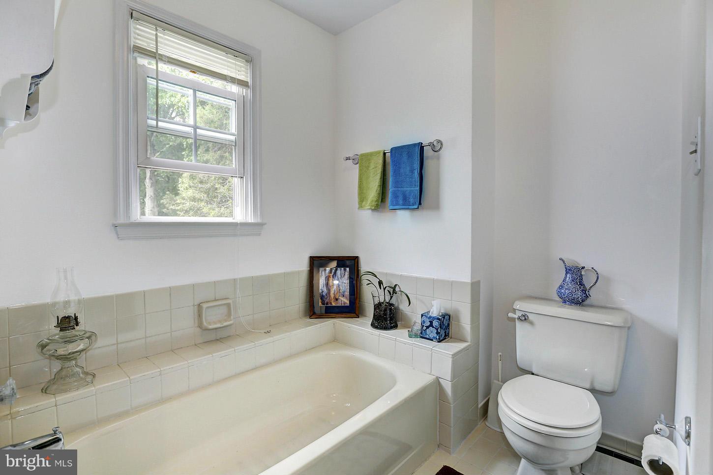 8003 Rocky Run Road Gainesville, VA 20155 - Photo 20 of 29 Bath (Master)