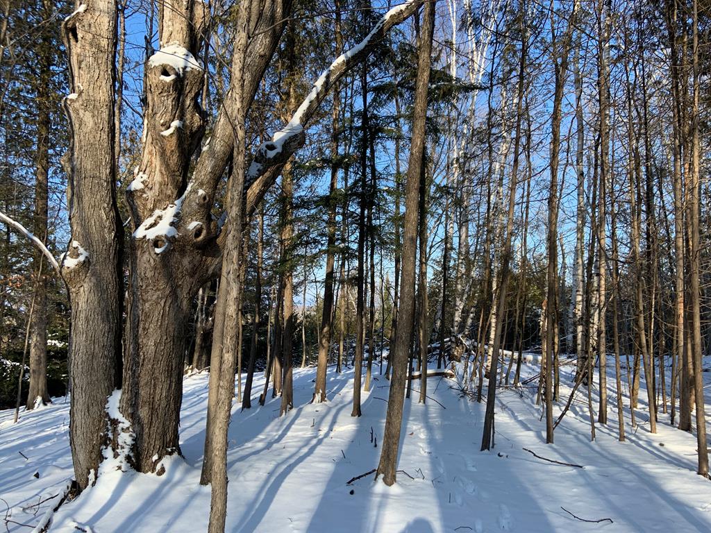 Lot 43 Gibraltar Road Fish Creek, WI 54212 - Photo 5 of 18