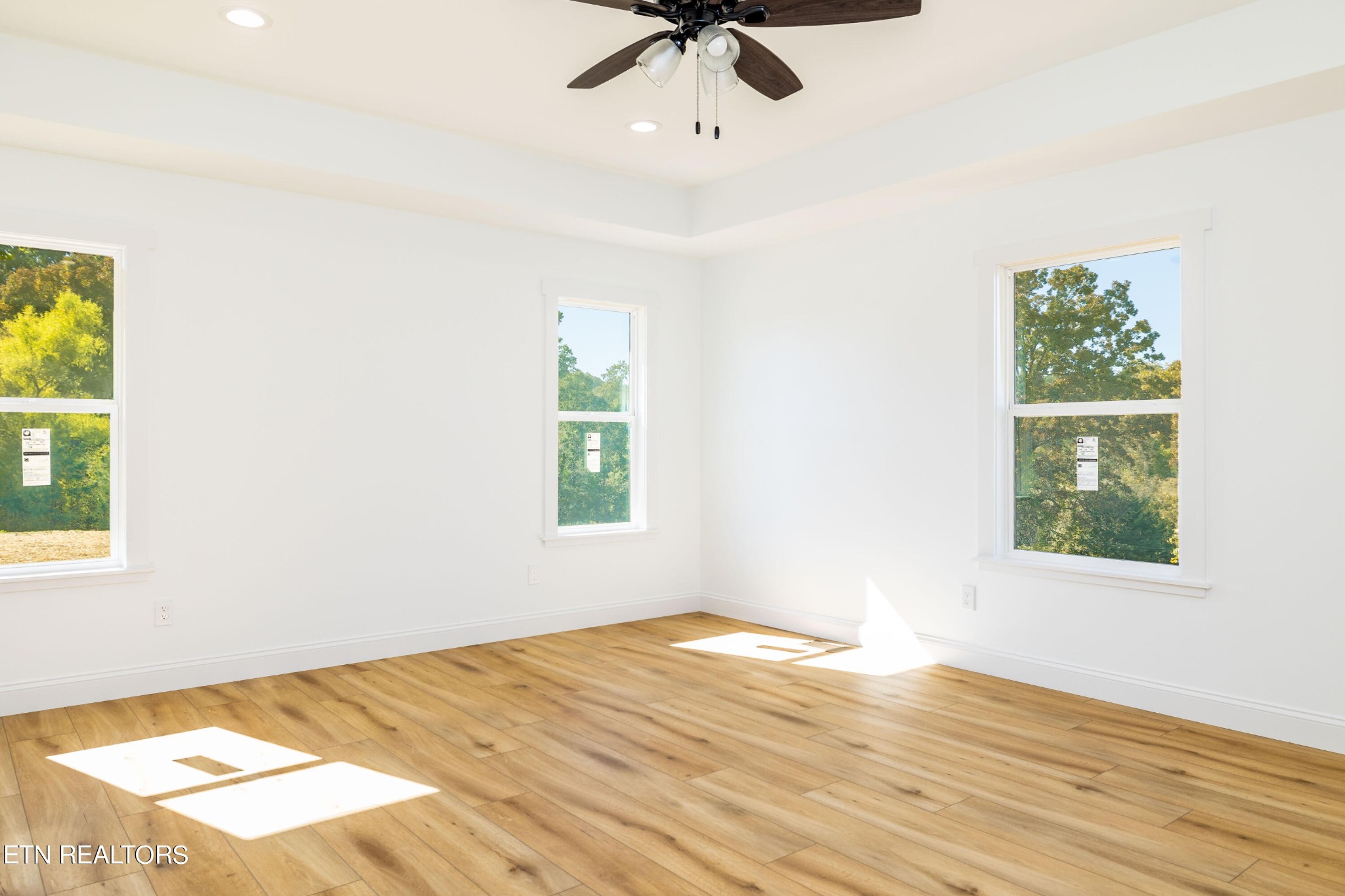 4711 Big Springs Road Greenback, TN 37742 - Photo 29 of 45 Gallery Image 29