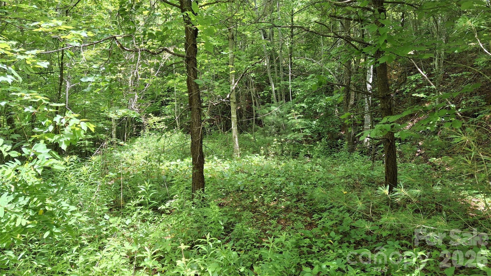 491 Signal Ridge, Unit 25 Sylva, NC 28779 - Photo 8 of 17