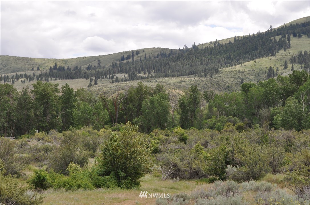724 X Manastash Road Ellensburg, WA 98926 - Photo 9 of 12 Gallery Image 9
