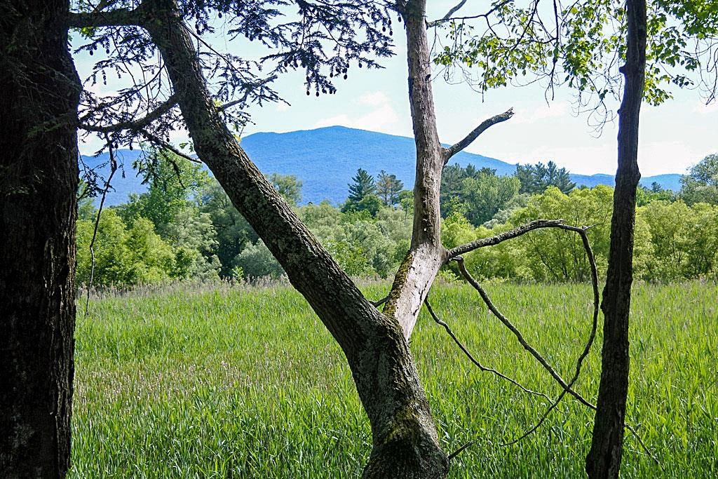 64 Country Grv Estates Rutland, VT 05701 - Photo 40 of 40 Gallery Image 40
