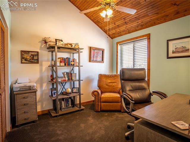 299 Dilley Road Westcliffe, CO 81252 - Photo 9 of 30 Gallery Image 9