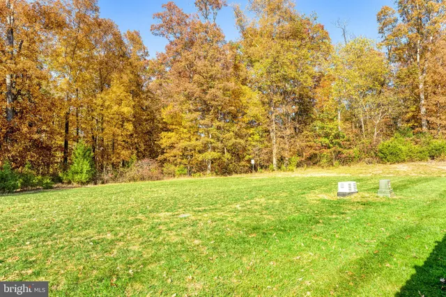 a view of yard with swimming pool and green space