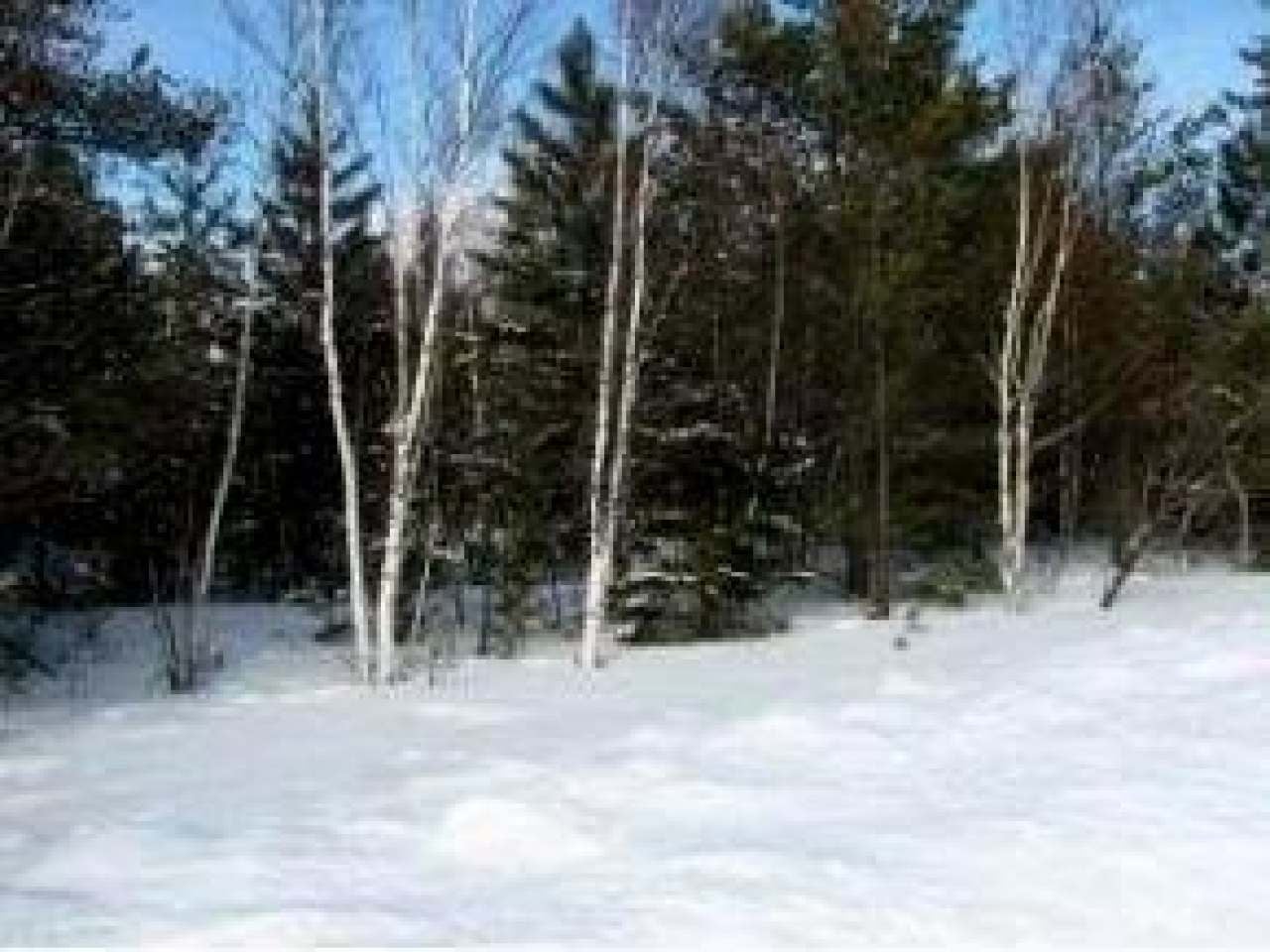 631 West Dyer Farm Road Eagle River, WI 54521 - Photo 1 of 6 Gallery Image 1