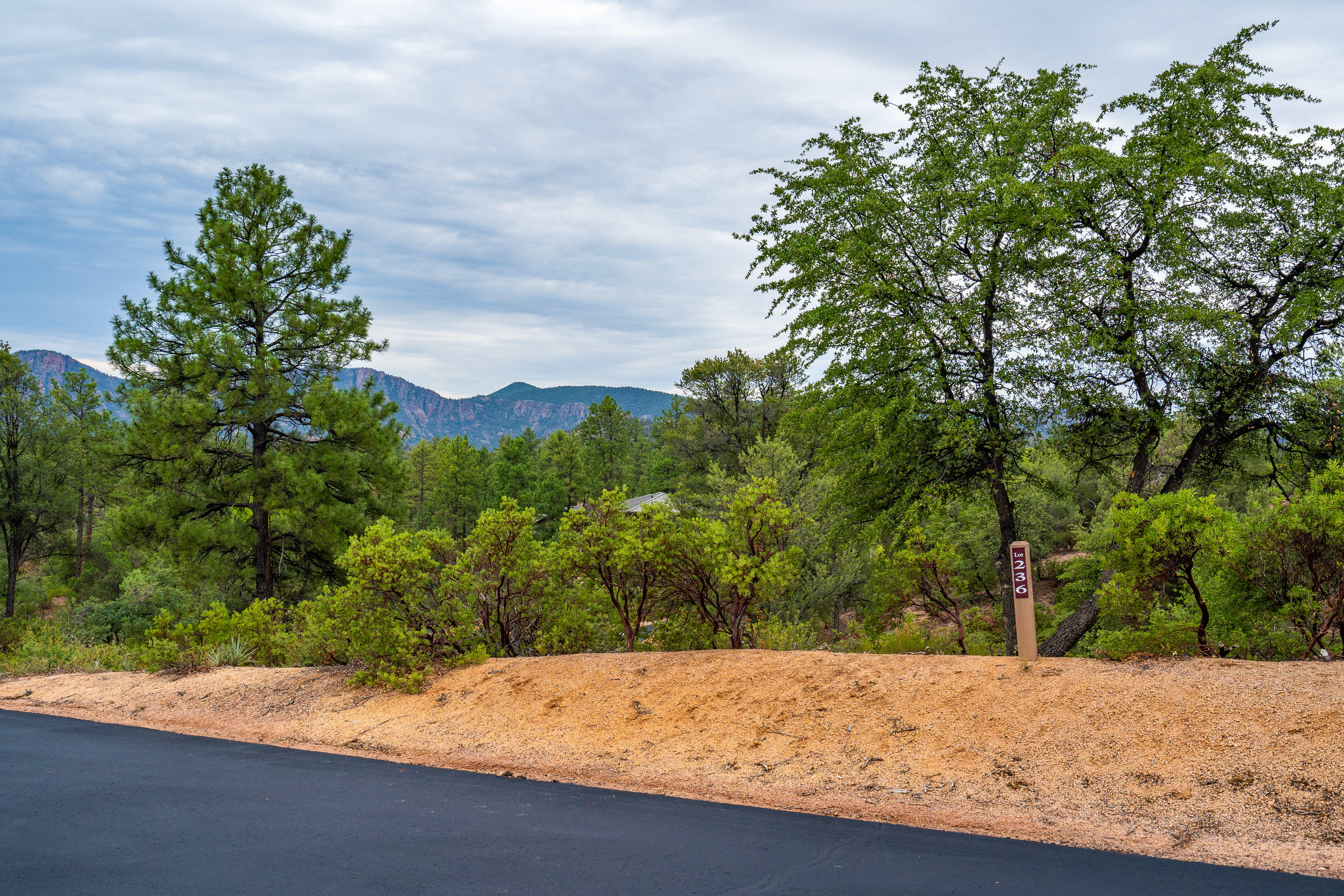 3001 East Arrow Point Payson, AZ 85541 - Photo 26 of 27 Gallery Image 26